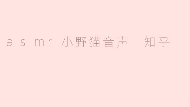 ### 探索ASMR小野猫音声：放松与治愈的音频体验